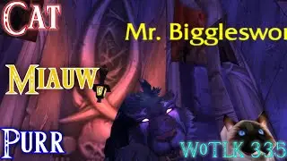 Feral Druid DPS in Icecrown Citadel 25 Heroic!