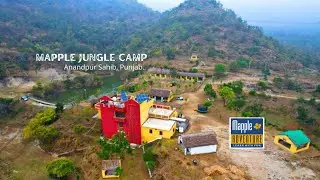 Mapple jungle camp