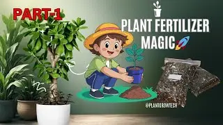 Beginner Tips: Plant Fertilizer कब, कितना और कैसे डालें (No More Yellow Leaves!) @plantgrowtech