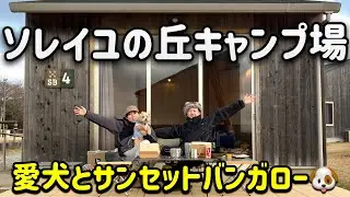 ソレイユの丘キャンプ場｜愛犬と泊まれるサンセットバンガロー徹底解説！