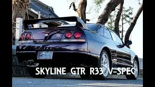 Nissan Skyline GTR R33 V-Spec for sale JDM EXPO