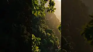 Mystical Jungle Ruins simple compose  #aiprompts #aivideo #soraai #cinematicexperience #natureinfocu