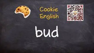 Bud   Pronunciation, Paraphrase, Listen & Practice