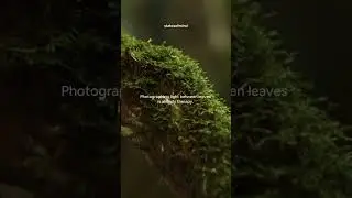 Healing with nature - how it works?