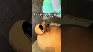 Вода - это жизнь 💧🧘&zwj;♀️ #вода #плюшевыеигрушки