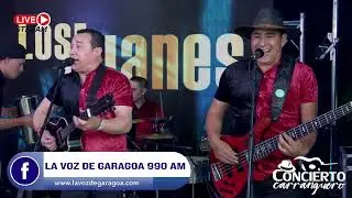 El venadito - Los Juanes | Concierto Carranguero | Show Musical
