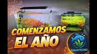 NUEVO AÑO Y COMENZAMOS CON NUESTRO HOBBY