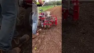 Minoru Vegetable Transplanter VT-20 in small scale farm #shorts #agrimachinery