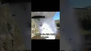 Fish Battle Royale