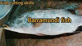 Amazing fish barramundi cutting skills #trending#seafish#fish 