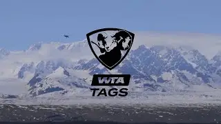 Обзор WTA TAGS | Приключения в мире трофеев