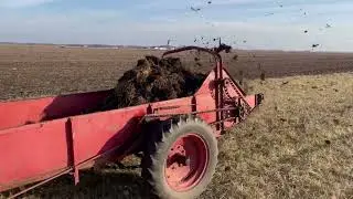 International Harvester/McCormick-Deering 200 Manure Spreader