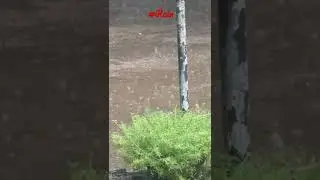 #barish #rain #anand #vidyanagar #lovetoclick #naturelover