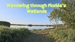 Exploring a Florida Birding Trail | Tranquil Walk Through the Wetlands