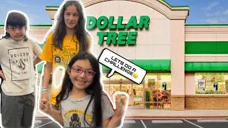 SHOPPiNG AT DOLLAR TREE WiTH 5 KiDS!!! LETTiNG THE KiDS CHOOSE SNACKS! SNACK CHALLENGE 2023