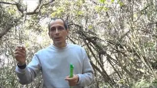 Clases de flauta con Fernando Cañon Lección 12