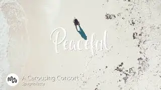 Best Cinematic Peaceful Music for Video [ A Carousing Consort - Spagnoletta ]