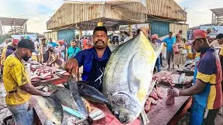 Wow Super Amazing  Master Fish Cutting Show Live Show Top 20