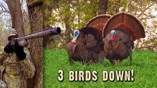 Sweet Turkey Hunting Teamwork: Make It Happen, Baby! (#234)  @GrowingDeer.tv