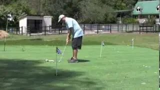 Dot PLX Putter Review