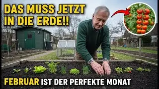 8 Kulturen, Die Du Im Februar Pflanzen Musst, Um Viel Zu Ernten