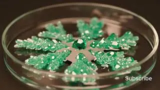 Crystal Growth in Petri Dish | Hyperrealistic Macro Science 4K. AI #CrystalGrowth #ScienceExperiment