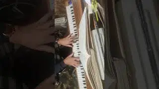 Hungarian Michael hauser piano