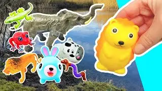 Learn Animal Names at the Pond for Kindergarteners Kids: Jellyfish Cow Rabbit Lion Hedgehog