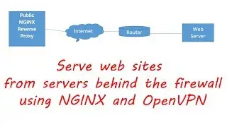 Nginx reverse proxy with OpenVPN