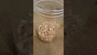 Slices are fully dried & now Stored in air tied Container 🥫...........