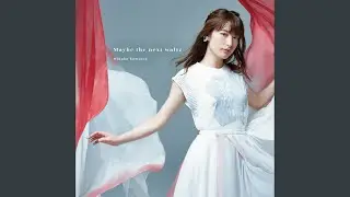 Maybe The Next Waltz -Instrumental-