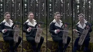 The Witcher 3 - Hunt or Be Hunted (Tagelharpa Cover)
