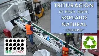 TRITURACIÓN DE PEAD (HDPE) NATURAL 
