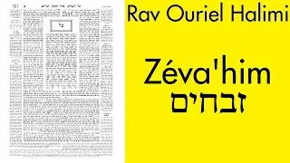 Rav Ouriel Halimi - Z&eacute;vakhim 14