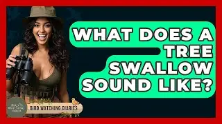 What Does A Tree Swallow Sound Like? - Bird Watching Diaries