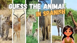 GUESS the Animal | Spanish for Beginners | Maggie's Academy