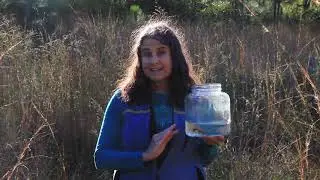 Nature For Newts
