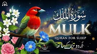 Surah Al-Mulk سورة الملك | Deep Sleep Quran Recitation for Peace, Rest and Healing #quranforsleep