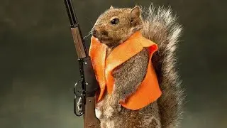 My First time squirrel hunting  and cooking and eating 