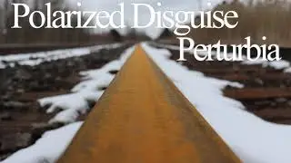 Polarized Disguise - Perturbia