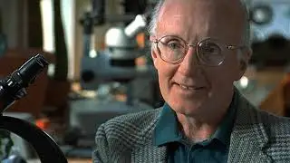 Bill Shear, Biologist  - How Arthropods Left The Sea