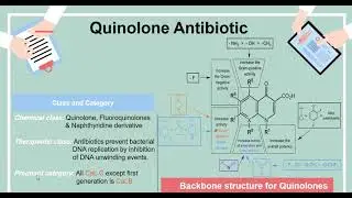Antibiotics | Quinolone antibiotic