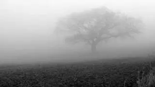 Seth1054 - Shadows in the Fog