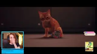 Finishing cat game!! 😻 [Stray Finale Stream 08-20-2022]