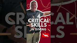 Four Critical Skills for Scuba Divers