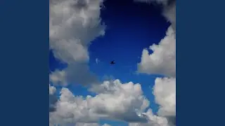 Феникс