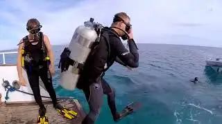 Dahab Project