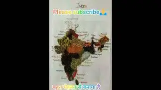 🇮🇳India Map Made by Spices #shorts #youtubeviral #youtubeshorts