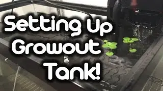 Setting up Growout Tank