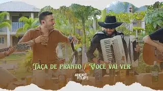 Andr&eacute; Felipe - Ta&ccedil;a de Pranto / Voc&ecirc; vai ver